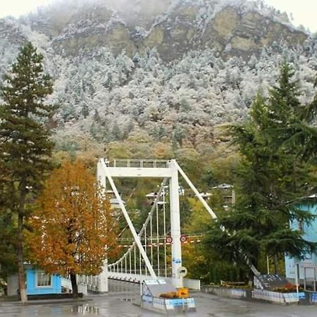 Tamarioni Hotel Borzsomi Kültér fotó